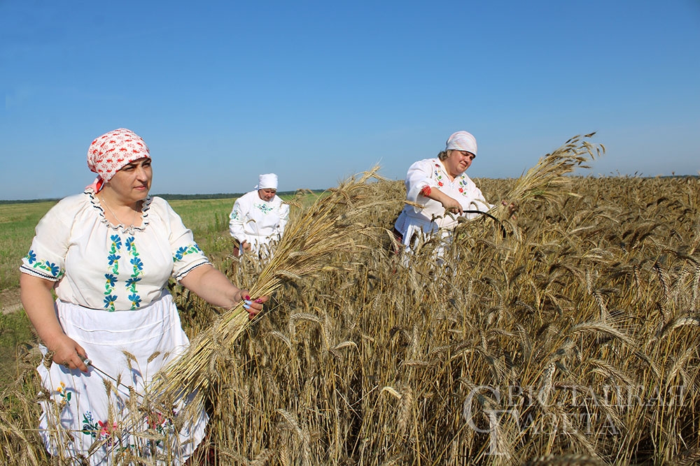 Зажинки